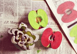 prezentare copy (500 x 333)