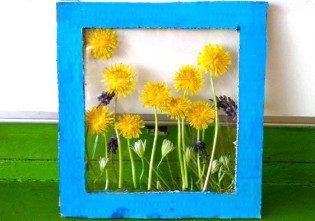 tablou din flori naturale presate - flori de papadie