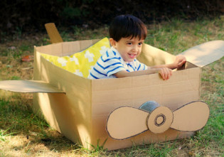 avion de carton - taraba de carton - o lume de vis pentru copii din cutii de carton