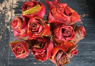 Cum sa faci trandafiri din frunze uscate in doar cateva miscari