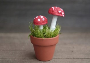 prezentare_ciupercute-din-coji-de-nuca-arta-din-comorile-toamnei-500-x-333