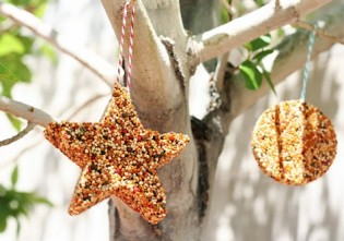 Hranitoare pentru pasari in forme de biscuiti, foarte usor de facut